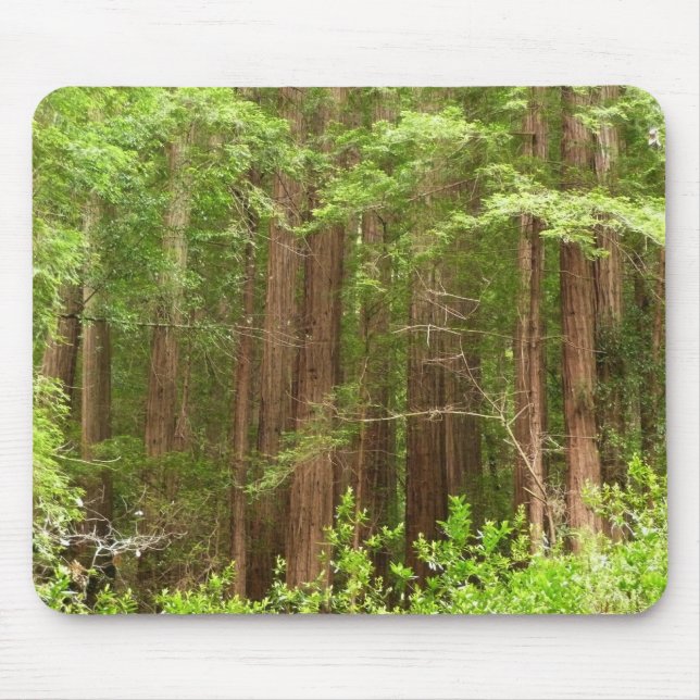 Mousepad Sequoias Vermelhas no Monumento Nacional de Muir W (Frente)