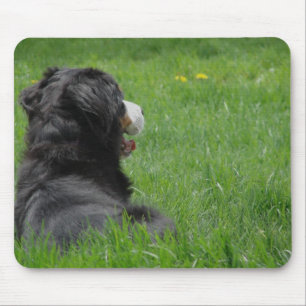 Mousepad Serena no Sol 2