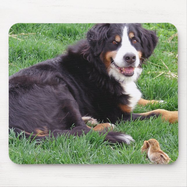 Mousepad Serena orgulhosa (Frente)