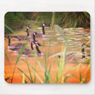 Mousepad Serenidade oculta Canadá Geese Natureza