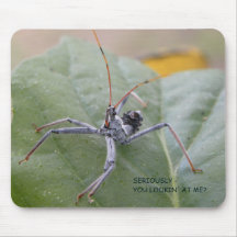 Seriamente você que olha me?