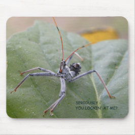 Mousepad Seriamente você que olha me?