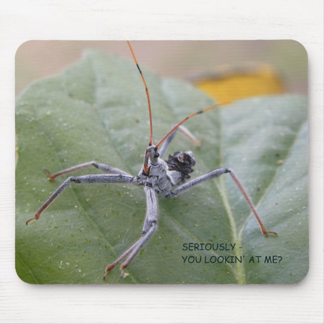 Mousepad Seriamente você que olha me? (Frente)