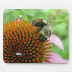 Mousepad Série Abelhas de Carpinteiro Oriental e Coneflower