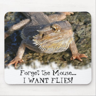 Mousepad Série farpada do dragão