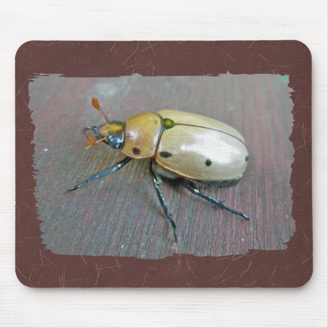 Mousepad Série Grapevine Beetle (Pelidnota punctata) (Frente)
