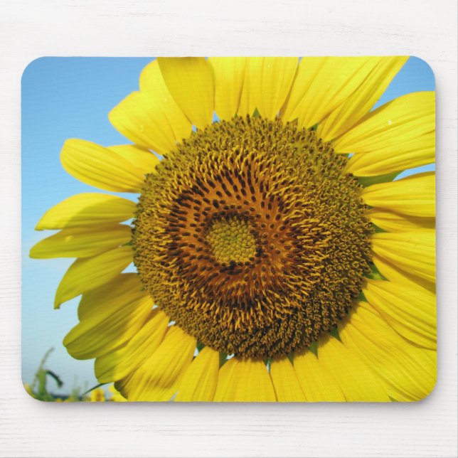 Mousepad Séries de girassol (Frente)