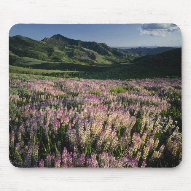 Mousepad Serra e Jarbridge Wilderness, Nevada, Esporão (Frente)