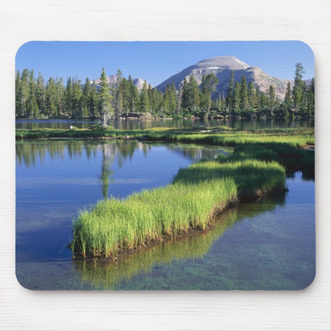Mousepad SERRA UINTAS ALTA, FLORESTA NACIONAL, UT, EUA, pen (Frente)