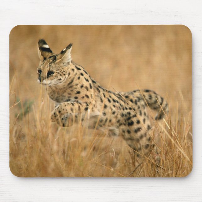 Mousepad Serval (Leptailurus Serval) Saltando (Frente)