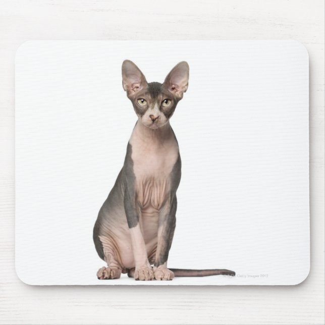 Mousepad Sessão de Esphynx (7 meses de idade) (Frente)