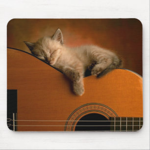 Mousepad Sesta do gatinho sobre guitarra