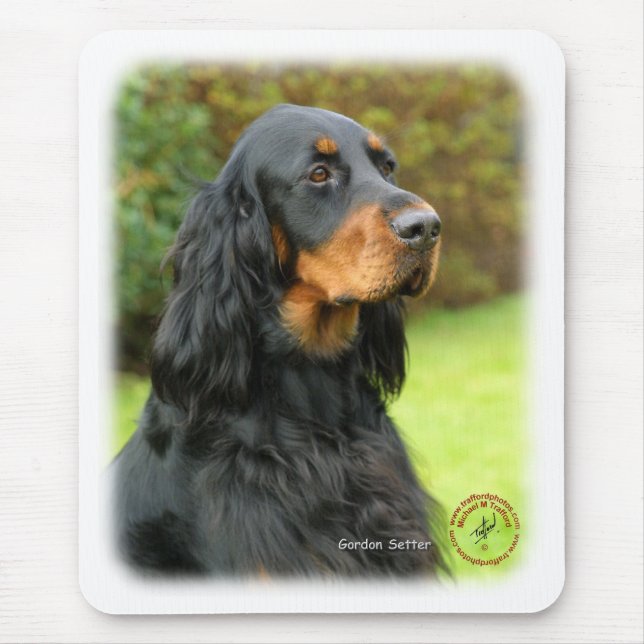 Mousepad Setter de Gordon 9T012D-135 (Frente)