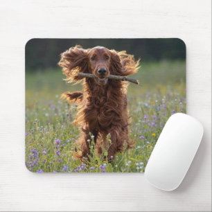 Mousepad Setter Irlandês Feliz em Campo de Flores Silvestre