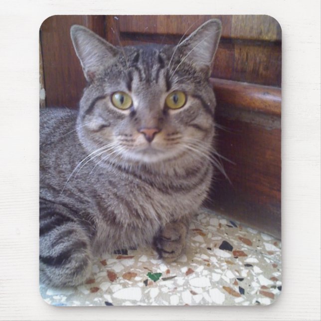 Mousepad Shangel (Frente)