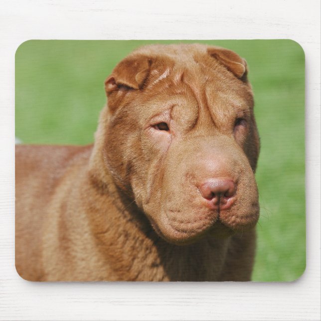 Mousepad Shar Pei (Frente)
