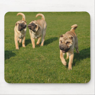 Mousepad Shar Pei Jogada
