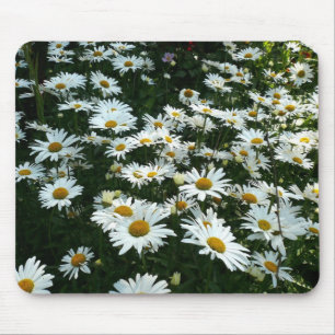 Mousepad Shasta Daisies