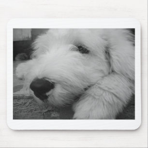Mousepad Sheepdog inglês velho