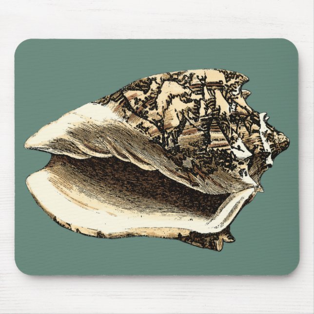 Mousepad Shell Teal Conch (Frente)