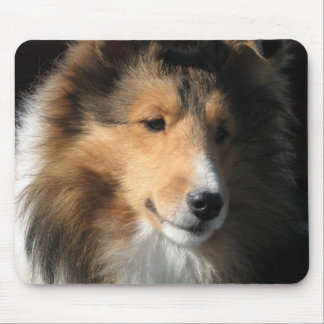 Mousepad Sheltie enfrenta