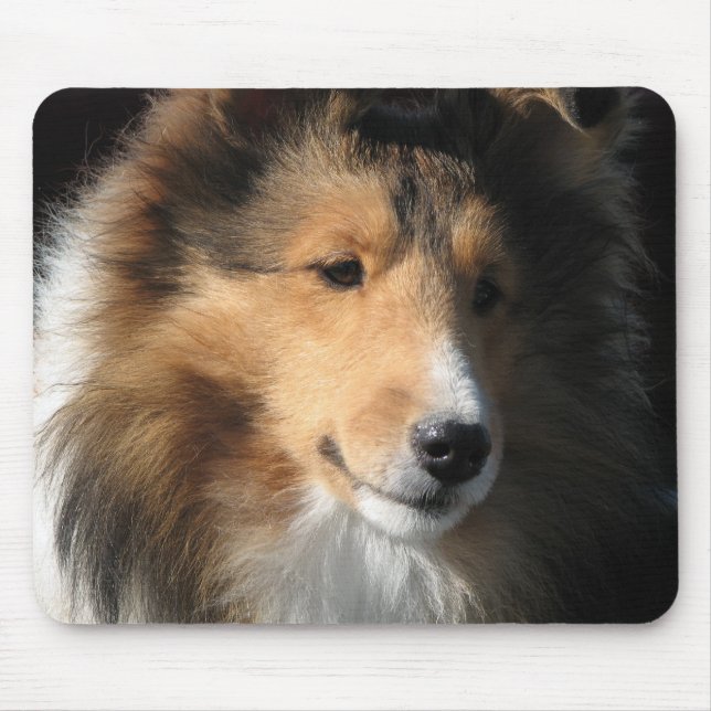 Mousepad Sheltie enfrenta (Frente)