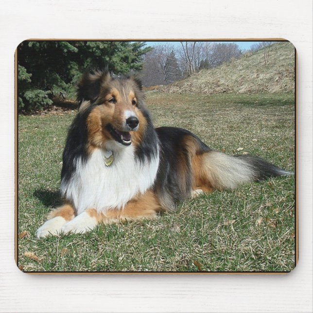 Mousepad sheltie_mpad4 (Frente)