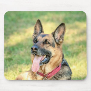 Mousepad Shepard alemão