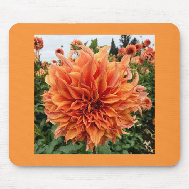 Mousepad Sherwood's Peach Dahlia (Frente)