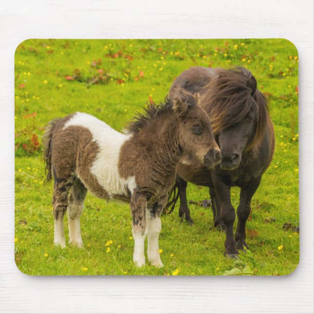 Mousepad Shetland Pony Madre e Filhotes (Frente)