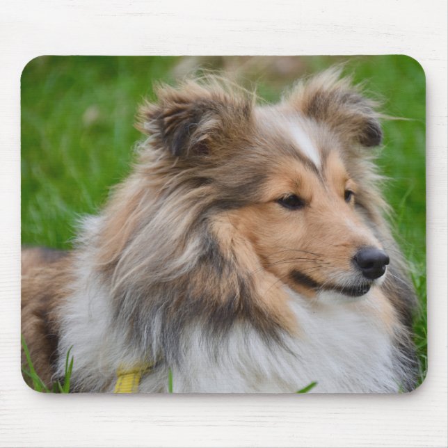 Mousepad Shetland Sheepdog - Sheltie Dog (Frente)