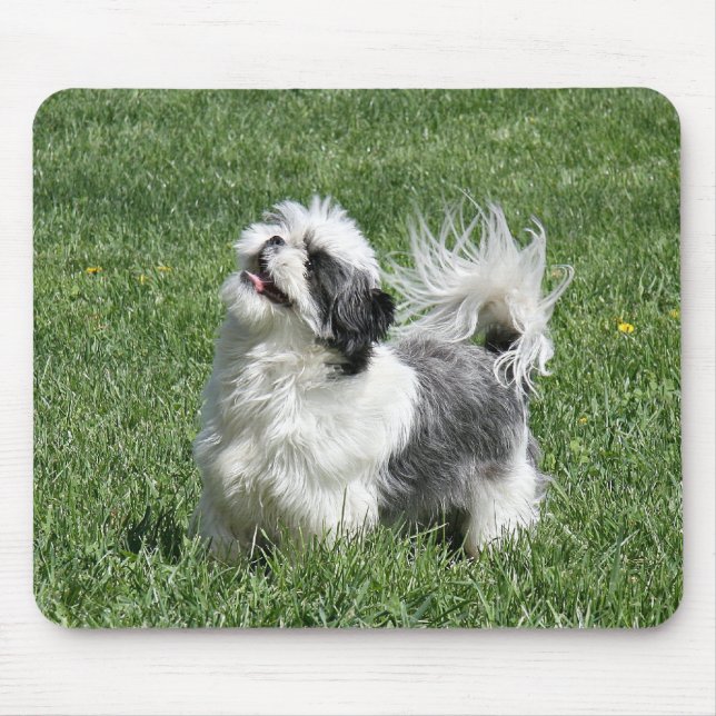 Mousepad shih tzu (Frente)