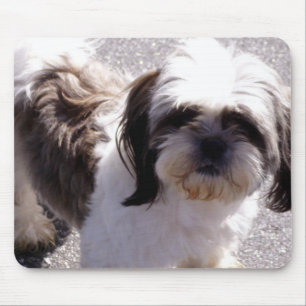 Mousepad Shih-Tzu