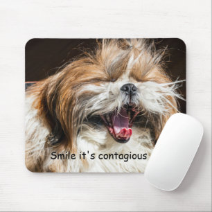 Mousepad Shih tzu bocejando rindo engraçadinho sorriso tex