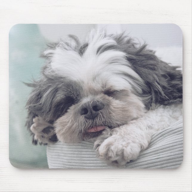 Mousepad shih tzu, cão, animal de estimação (Frente)