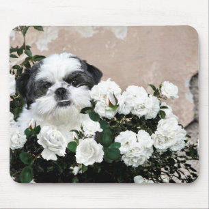 Mousepad Shih Tzu e rosas