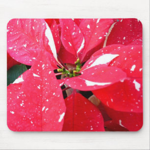 Mousepad Shimmer Star Surprise Poinsettia Foliday Floral