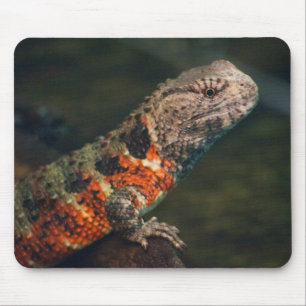 Mousepad Shinisaurus crocodilurus