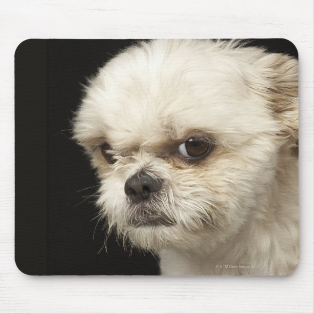 Mousepad Shuz branca raivosa com olhos castanhos (Frente)
