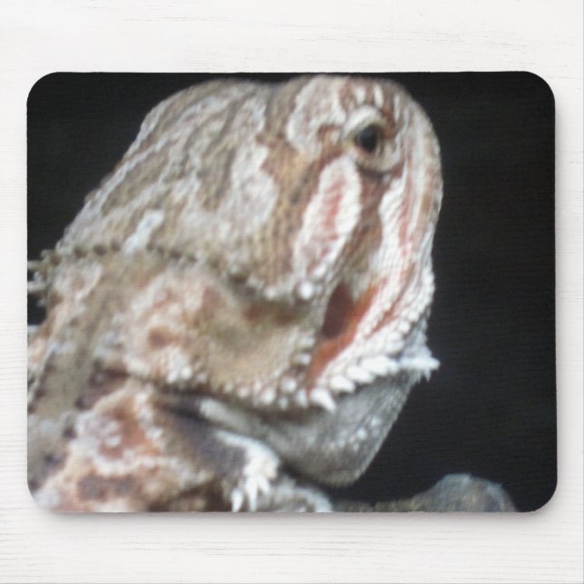 Mousepad Shy Dragon (Frente)
