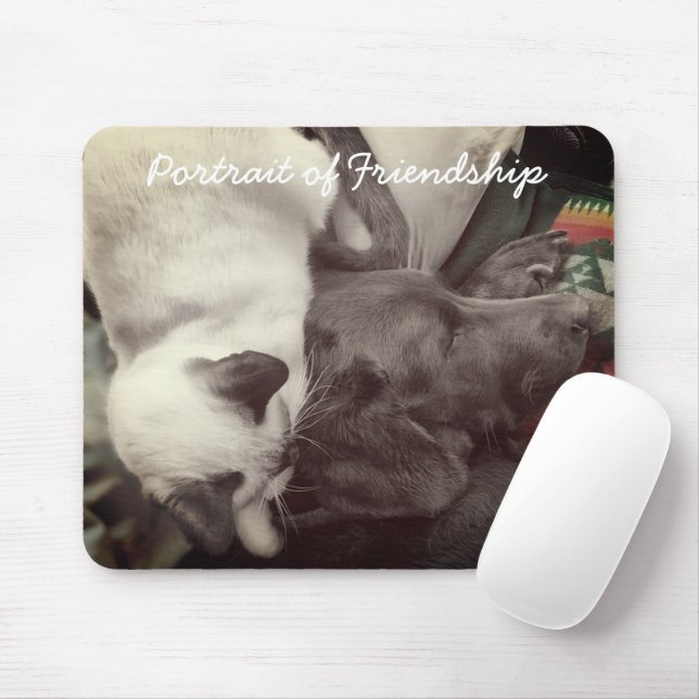 Mousepad Siamese Kitten Deita-Se Amavelmente Na Cabeça De L (Com mouse)