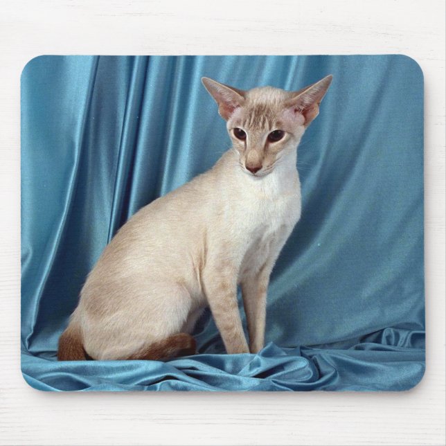 Mousepad Siamese, ponto do lilac (Frente)