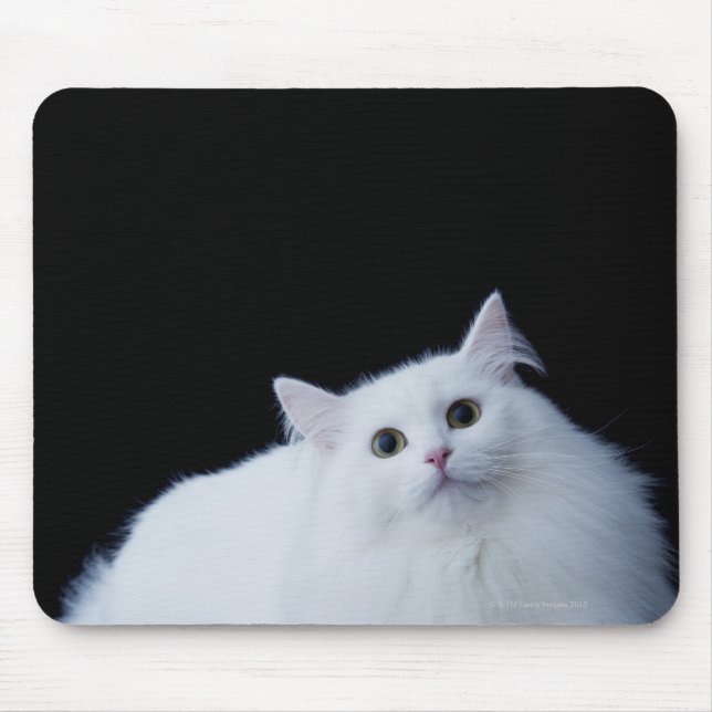 Mousepad Siberian Cat (Frente)