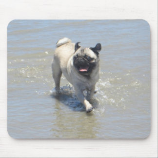 Mousepad Sid the Pug at Dog Beach, San Diego, CA