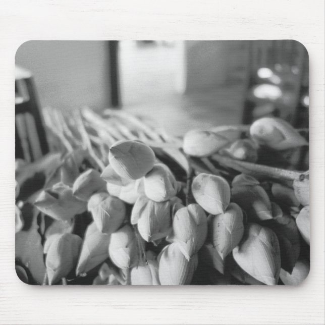 Mousepad Siem Reap Camboja, Flores de Lótus (Frente)