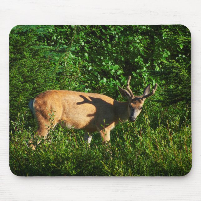 Mousepad Siga em Frente (Frente)