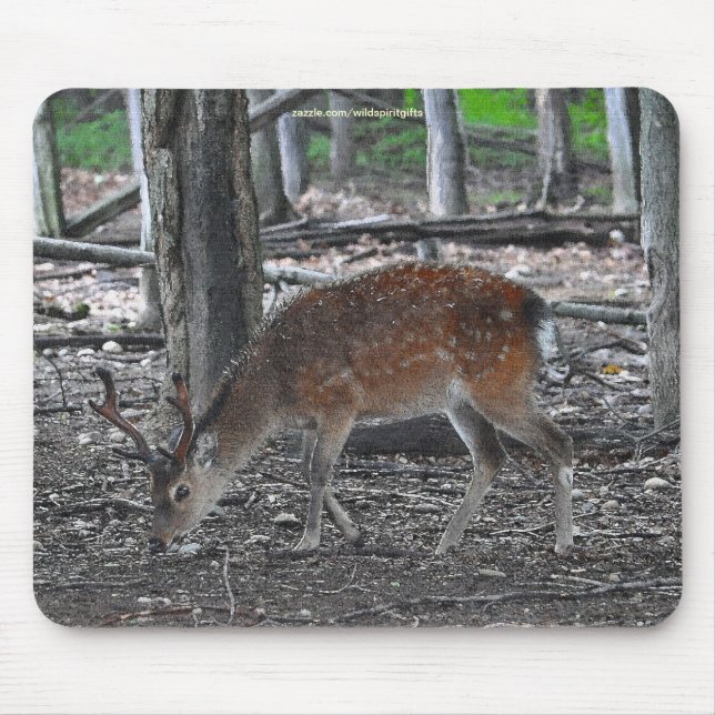Mousepad Sika Deer Buck Animal Willife Photo (Frente)