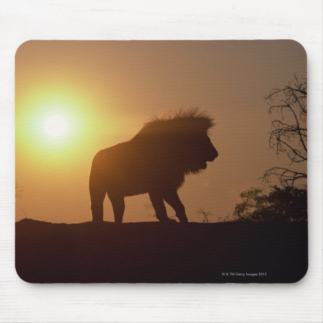 Mousepad Silhouette de um leão (Frente)