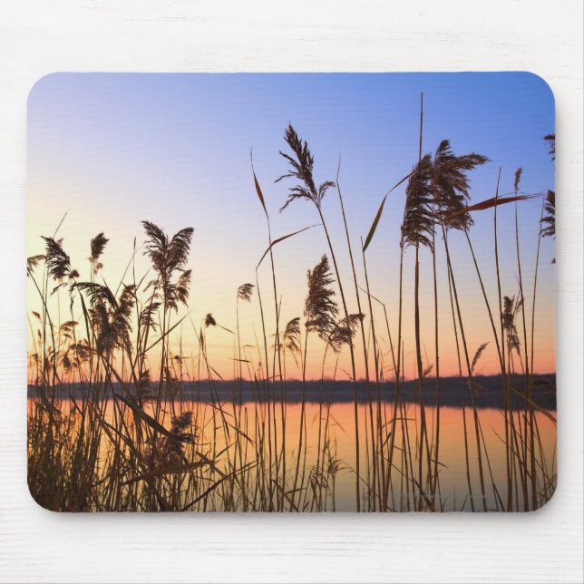 Mousepad Silhueta da planta pelo por do sol da beira do (Frente)