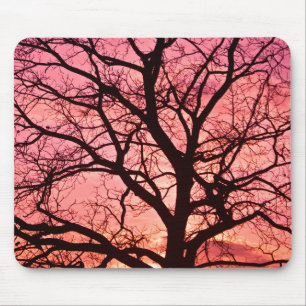 Mousepad Silhueta de árvores escamosas